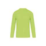 Pánske tričko (PROACT MENS LONG SLEEVE SPORTS T-SHIRT) > zelená (lime) > 2XL