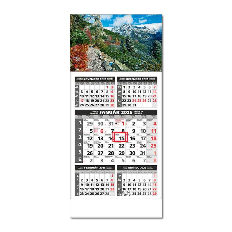 Nástenný kalendár (ŠTANDARD 5M 2026) - 29,5 x 66,3 cm > sivá > Obr. H