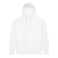 biela (arctic)