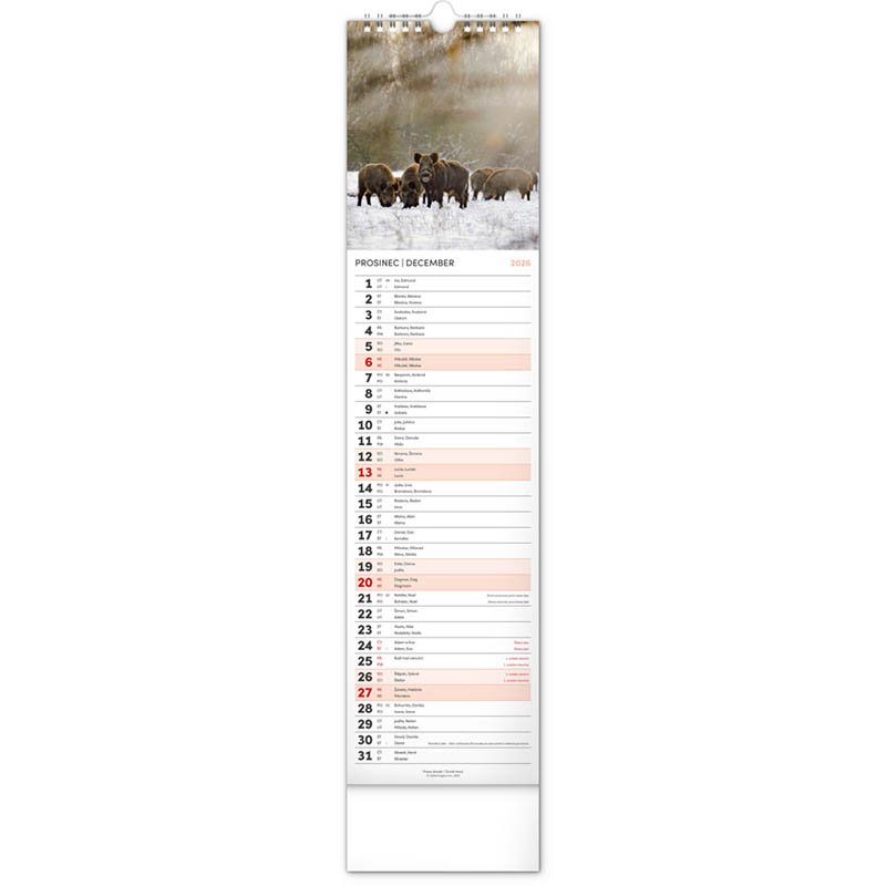 Nástenný kalendár (Lesní zvěř – Lesná zver CZ/SK 2026) - 12 x 48 x 1 cm
