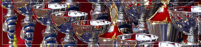 Umelecké predmety-trofeje,poháre reklamné predmety